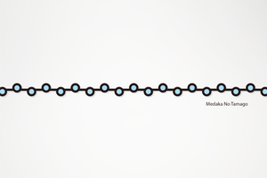 MINI Medaka No Tamago